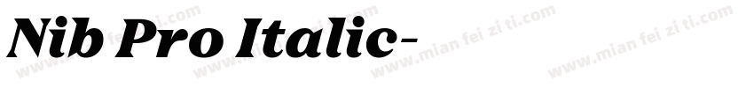 Nib Pro Italic字体转换